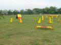 Agility pálya bérlés , kutyakozpont@gmail.com , 06308597781